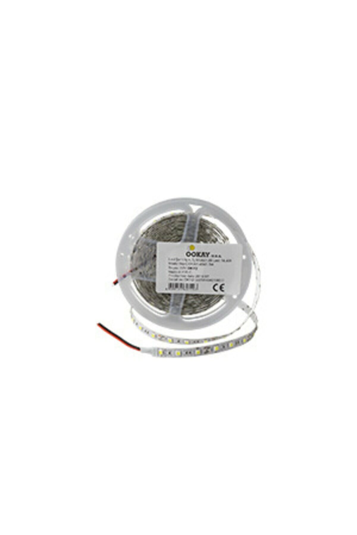 HOROZ ELECTRIC Beyaz 4040 Şerit Led (iç Mekan) Beyaz