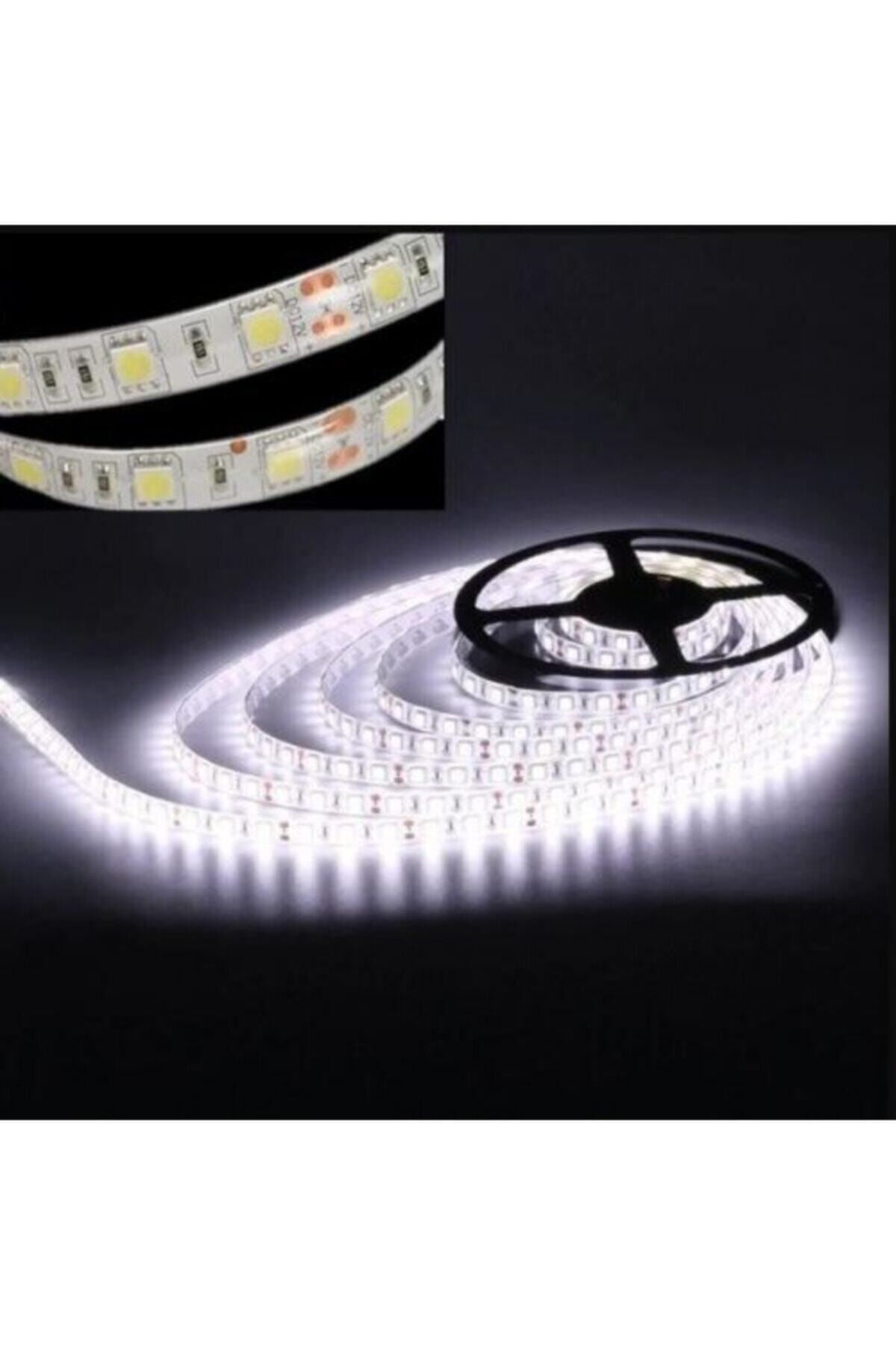 4040 Şerit Led Iç Mekan Günışığı Şerit Led Işık -4040