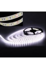 4040 Şerit Led Iç Mekan Günışığı Şerit Led Işık -4040